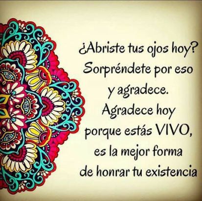 24d18f3a27d018315559090f5a32d0f1