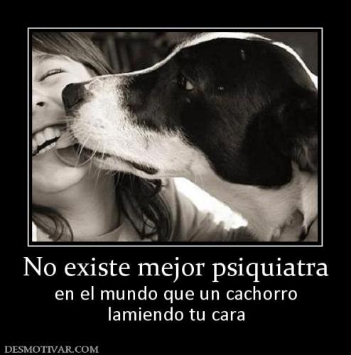 8375_no_existe_mejor_psiquiatra