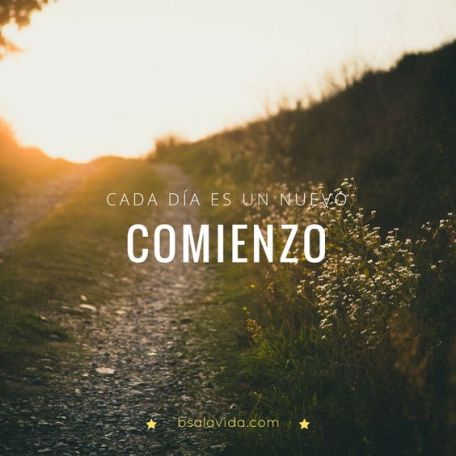 cead956a54bc47fb6dfd7bc85966a423