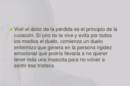 duelo-por-la-muerte-de-una-mascota-4-638