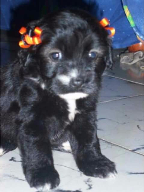 FB_IMG_1504880110676[1]