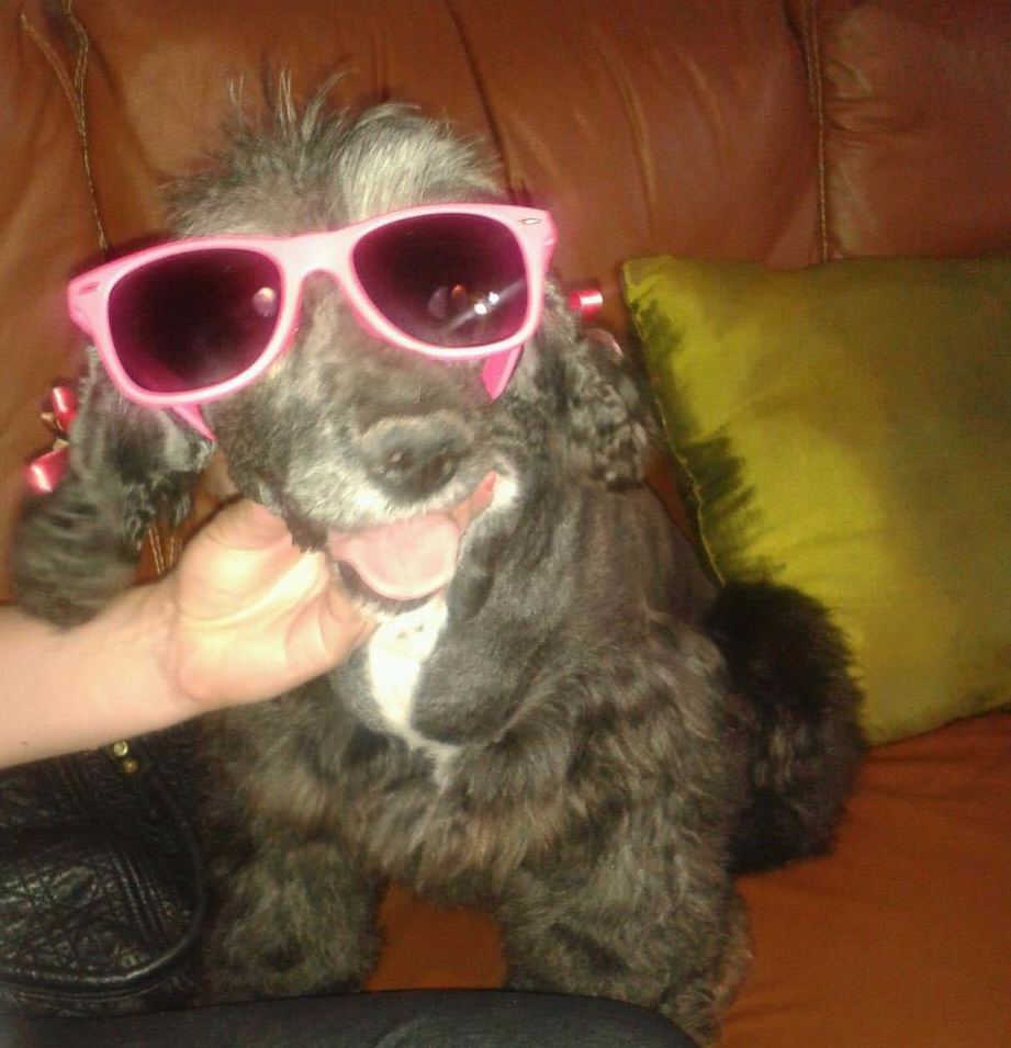 La huella que dejó Yasha