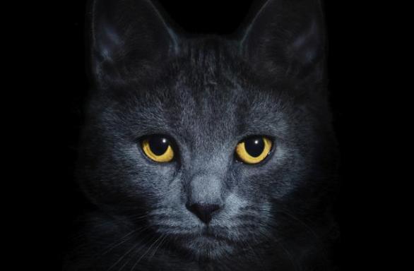 12-fascinantes-datos-sobre-Halloween-y-sus-terroríficas-tradiciones-9