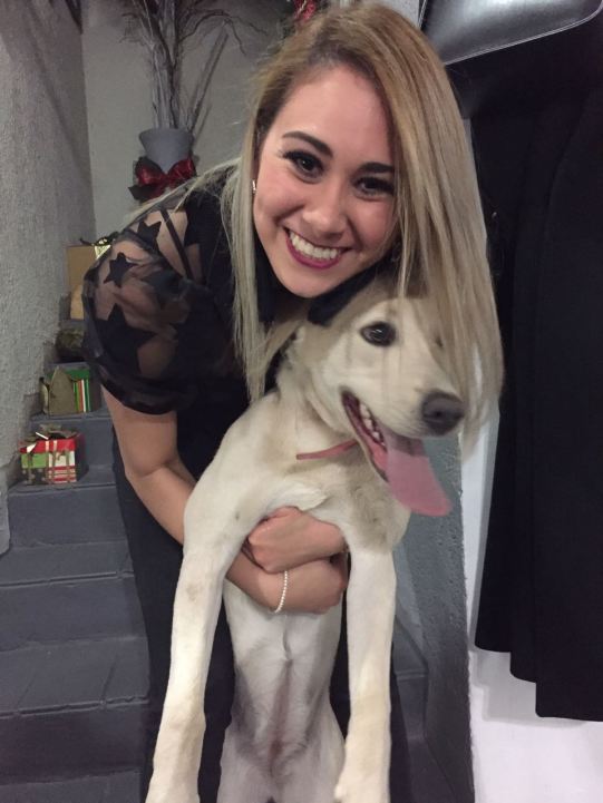 IMG-20171225-WA0059[1]