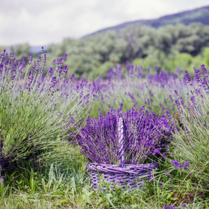 Diseño sin título (2)