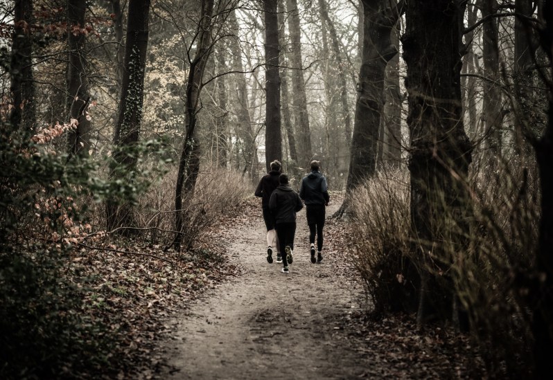 Canva - Monochrome Photography of People Jogging Through The Woods
