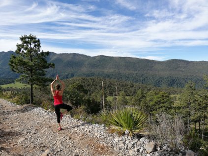 104575273_899759197189125_8257202896502551965_o